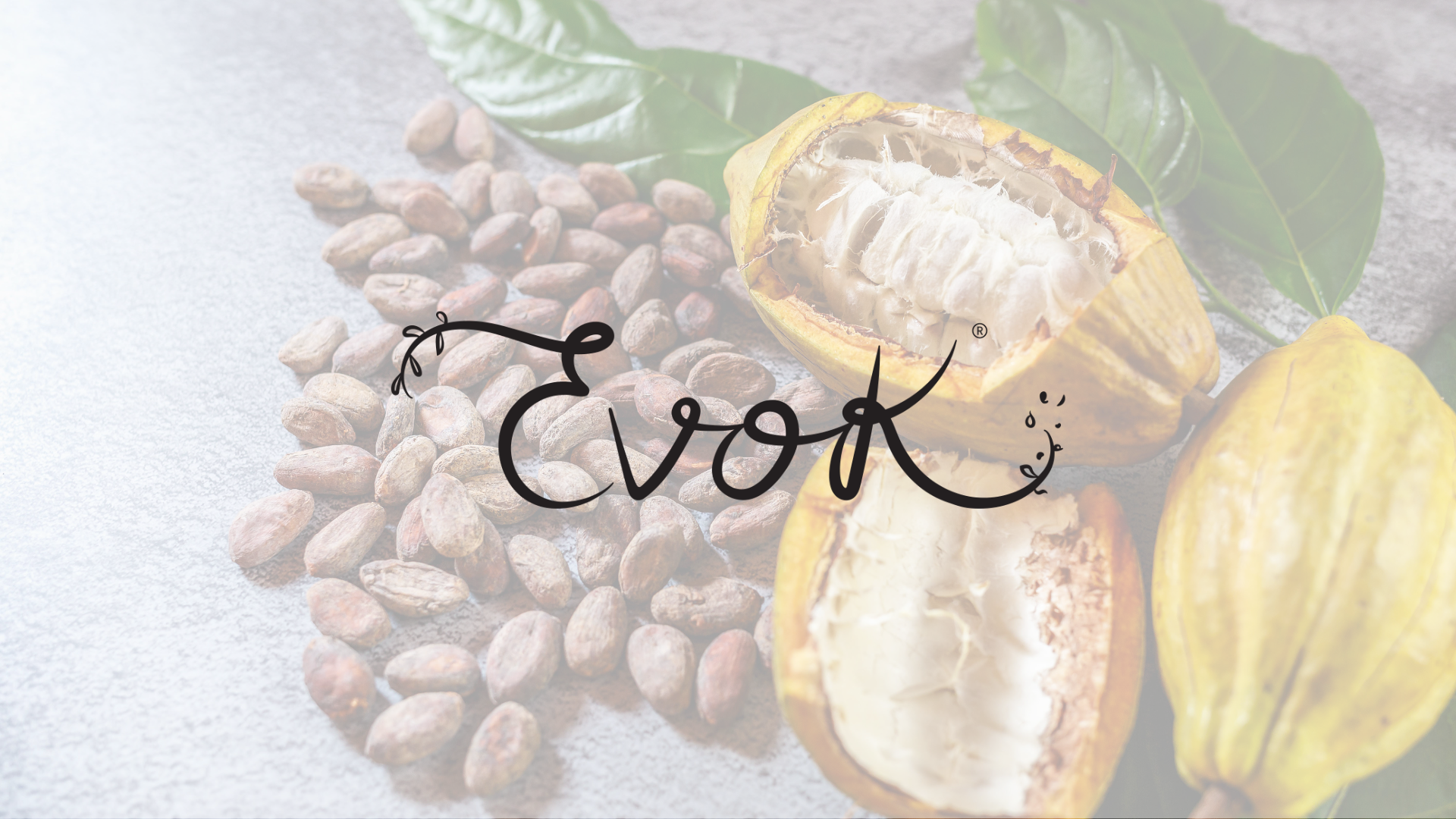 Linea EVOK